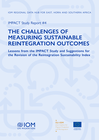 world: the challenge of measuring sustainable reintegration outcomes: lessons from the impact study and recommendations for the revision of the reintegration sustainability index – impact study report #4