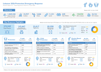 Lebanon: Protection Sector Weekly Response Sitrep #11 - 2 March to 17 June 2026 9466c751 5908 4664 91a9 3626e53e1289 KvliQp