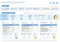 Lebanon: Protection Sector Weekly Response Sitrep #12 - 2 March to 03 July 2026 lebanon: protection sector weekly response sitrep #12 2 march to 03 july 2026