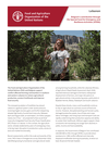 lebanon: belgium’s contribution through the special fund for emergency and resilience activities (sfera)