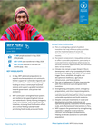 wfp peru country brief june 2026