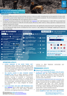 opt: wfp palestine emergency response external situation report #92, 14 july 2026 (reporting period: 1 30 june 2026)