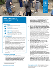 wfp ukraine country brief, august 2026