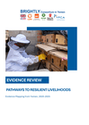 Yemen: Evidence Review: Pathways to Resilient Livelihoods, 2020-2025 yemen: evidence review: pathways to resilient livelihoods, 2020 2025