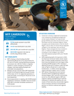 wfp cameroon country brief, august 2026