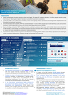 opt: wfp palestine emergency response external situation report #95, 24 august 2026 (reporting period: 1 16 august 2026)