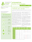 afghanistan nutrition cluster bulletin (issue 6, jan–jun 2026)