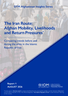 the iran route: afghan mobility, livelihoods and return pressures | dtm afghanistan insights series report 1 (august 2026)