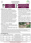 india floods 2026 situation report