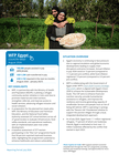 wfp egypt country brief, august 2026 (reporting period: july 2026)