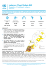 lebanon: flash update #48 escalation of hostilities in lebanon (as of 3 august 2026)