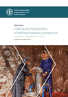 afghanistan: child acute malnutrition, a livelihood systems perspective evidence to inform integrated prevention interventions